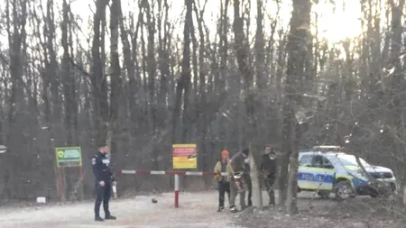 Clotilde Armand cere deblocarea accesului în complexul Greenfield: „O măsură greşită”. Răspunsul Romsilva: Vom sprijini acest demers când Primăria Sectorului 1 va scoate definitiv drumul respectiv din fondul forestier