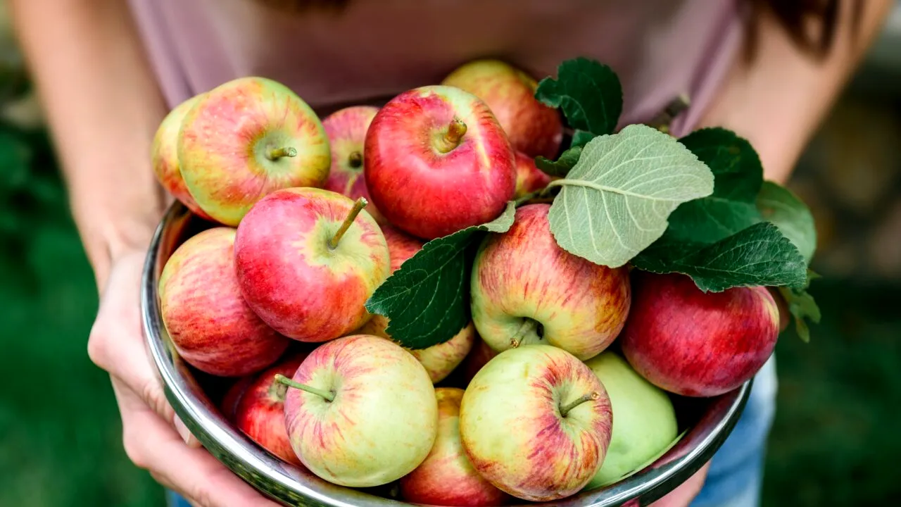 Legătura neștiută dintre mere și medicamente. Interacțiunea cu aceste pastile prezintă un RISC pentru sănătate