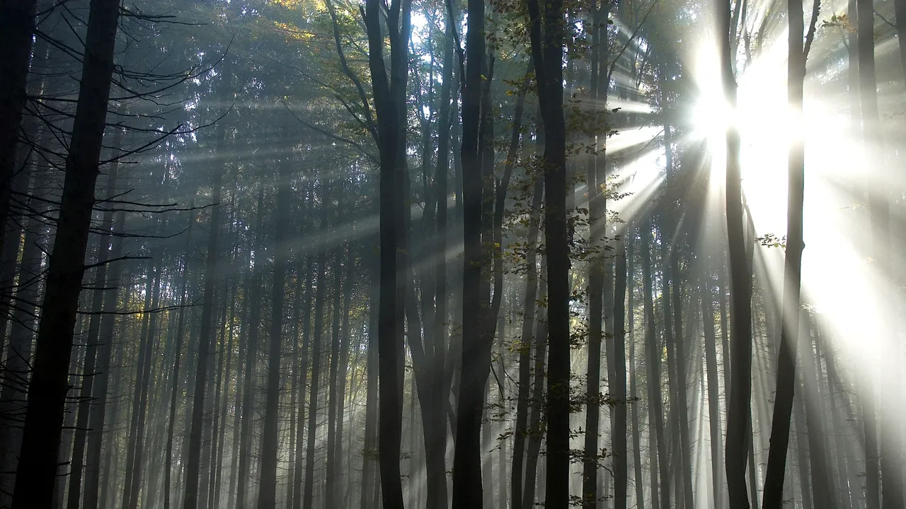 Prognoza meteo în weekend. Cum va fi vremea pe 6 și 7 februarie 2021