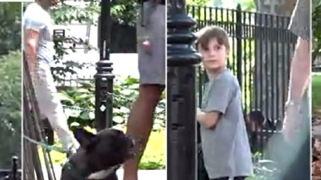 O fetiță, un băiețel, o pisică și un câine s-au pierdut în parc. Cine este salvat primul?