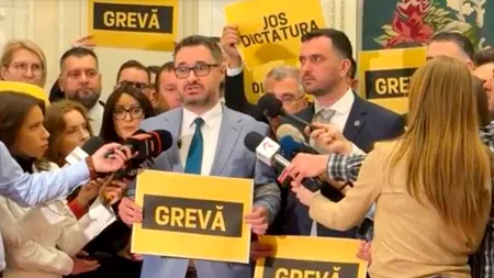 Grevă în Parlament. Dan Tănasă: AUR, alături de celelalte formațiuni suveraniste din Parlamentul României, protestează într-un mod democratic