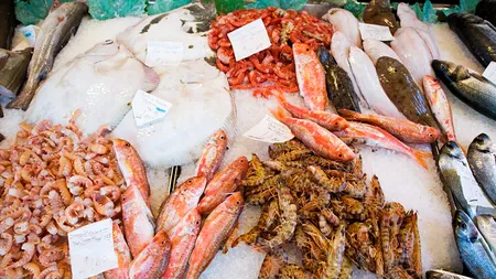 Studiu: Consumul a două porții de pește pe săptămână poate crește riscul apariției cancerului de piele