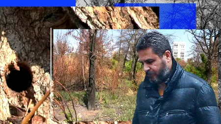 Dezastru ecologic în apropierea Parcului IOR. Cine este omul din spatele celor 12 hectare retrocedate, unde sute de copaci au fost găuriți și s-au uscat - EXCLUSIV FOTO - VIDEO