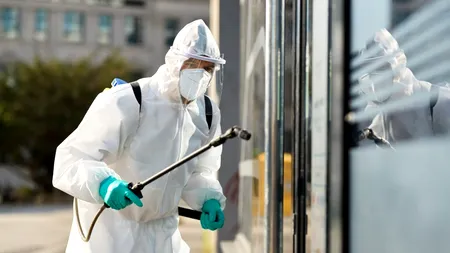 (P) Infestările cu ploșnițe cresc accelerat în marile orașe. Specialiștii avertizează că populația se confruntă cu un val mai dificil ca în alți ani