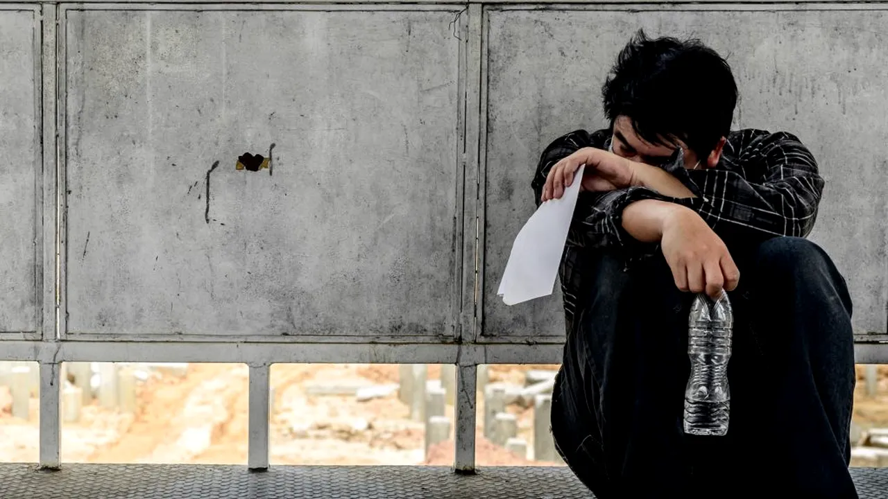 MAE. Fermă din Germania, în insolvenţă. Aproximativ 150 de români lucrează acolo