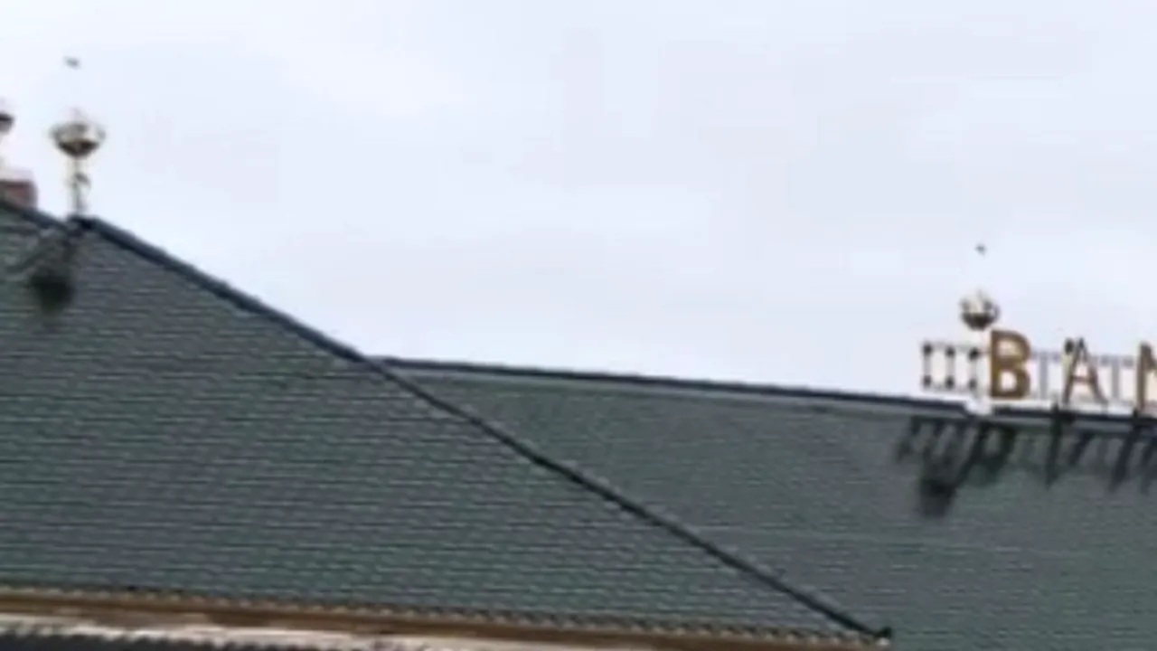 VIDEO: Ornamentul neobișnuit de pe o casă din Timișoara. 