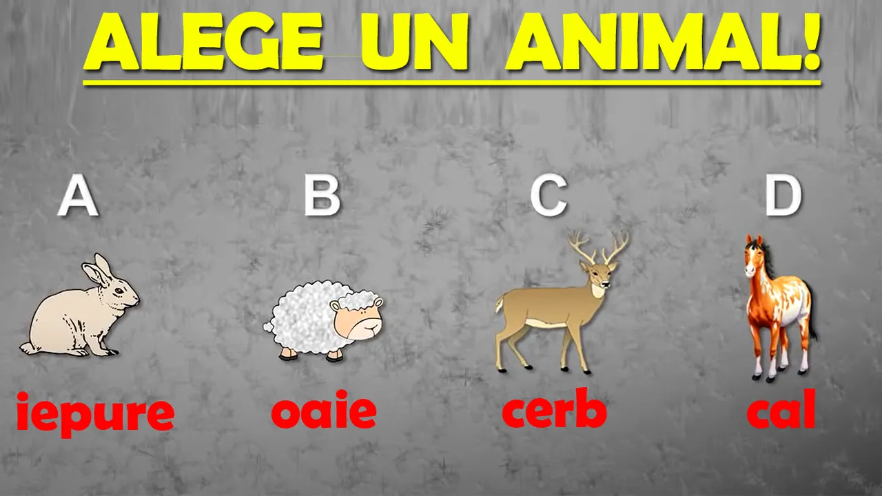 Cel mai tare test de personalitate: Dacă ar veni Sfârșitul Lumii, ce animal ai salva dintre cele 4?