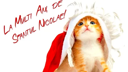 MOȘ NICOLAE 6 decembrie 2013. MESAJE și FELICITĂRI de MOȘ NICOLAE și SFÂNTUL NICOLAE