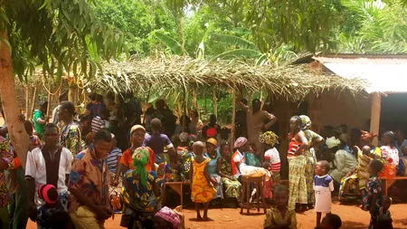 Panama Papers - Rețeaua africană