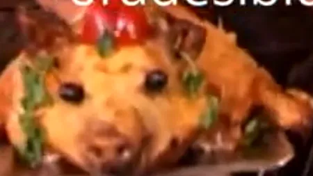 VIDEO. Romii, chef cu porci și curcani „de decor