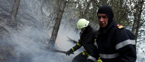 Alba: Peste 15 hectare de pădure, cuprinse de un incendiu puternic, în Munții Șureanu