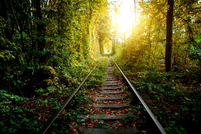 foto ilustrativa: sursa foto: Envato