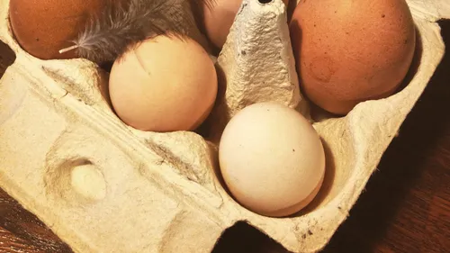 De unde vin ouăle pe care le consumă românii. Avertisment pentru consumatori