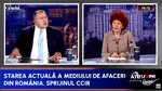 Ce impact are energia asupra competitivității companiilor? Mihai Daraban: „E devastator! Statul are profit de 2 miliarde de euro pe care îi toacă”
