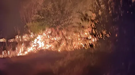 VIDEO | Incendiu de amploare în zona retrocedată din Parcul IOR din București. Flăcările sunt vizibile de la mare distanță