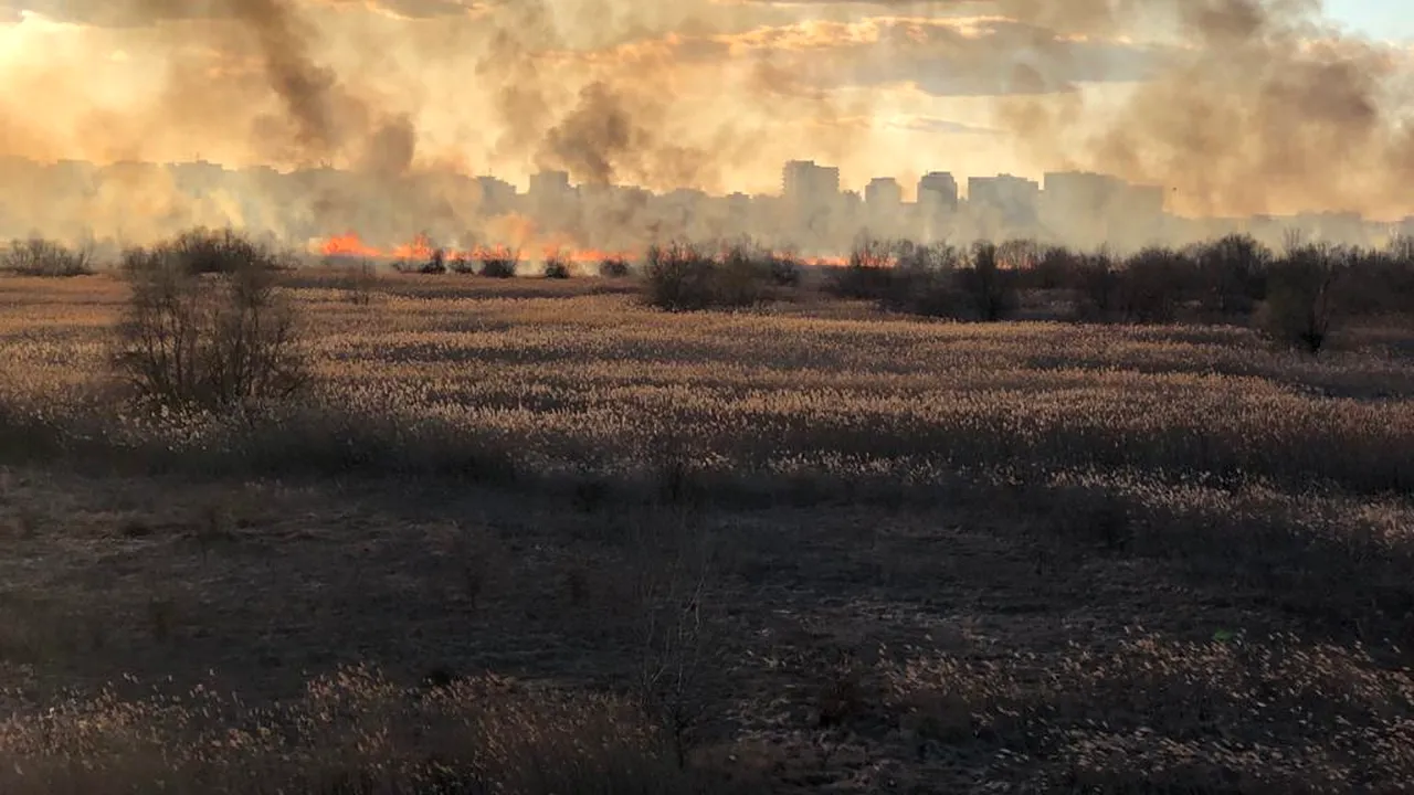 Incendiul din Delta Văcăreşti din Capitală a fost stins după patru ore