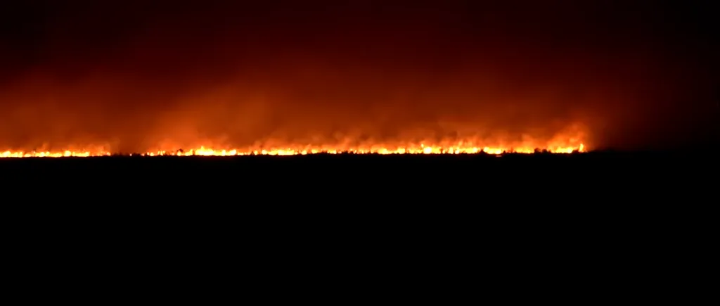 Un puternic incendiu a izbucnit în zona Vadu. Au ars peste 200 de hectare de vegetație