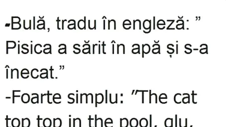 BANC | „Bulă, tradu în limba engleză: Pisica a sărit în apă și s-a înecat