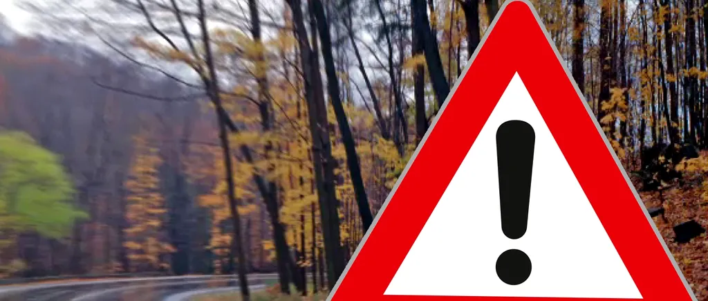 Ce înseamnă indicatorul rutier cu triunghi roșu și un semn de exclamare negru, de fapt. Unii șoferi români habar nu au!