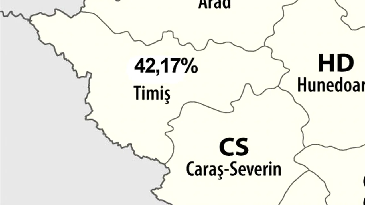 REZULTATE BACALAUREAT 2012. Mult mai mulți elevi ca anul trecut au luat bacul în Timiș