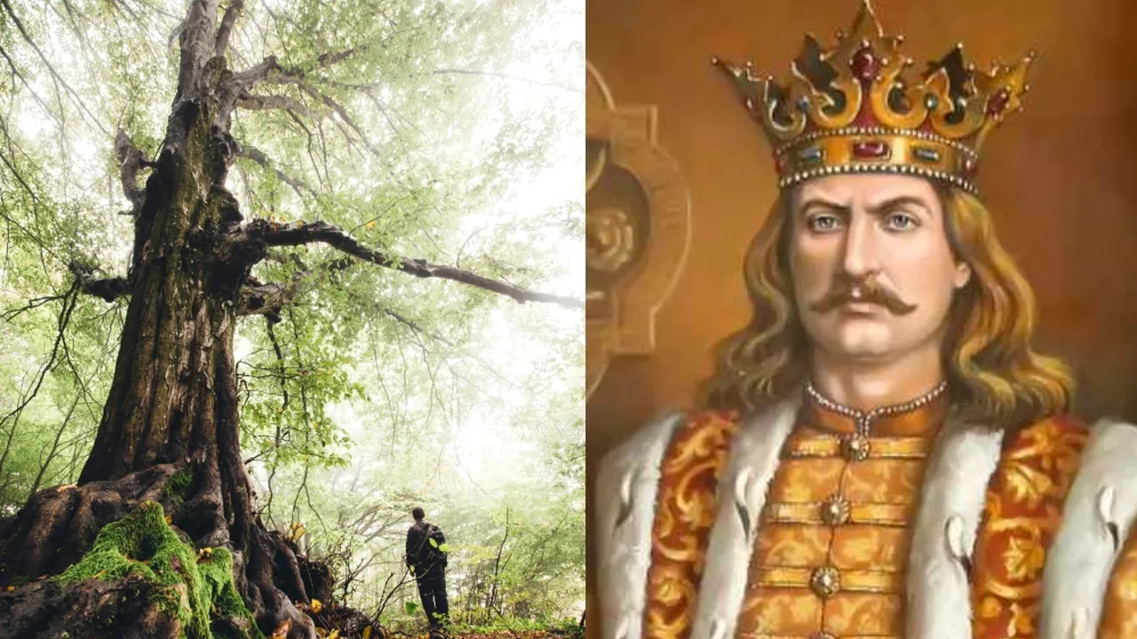 Zona din România, unde dăinuiește cea mai frumoasă legendă despre Ștefan cel Mare. Domnitorul ar fi creat aici un loc de poveste