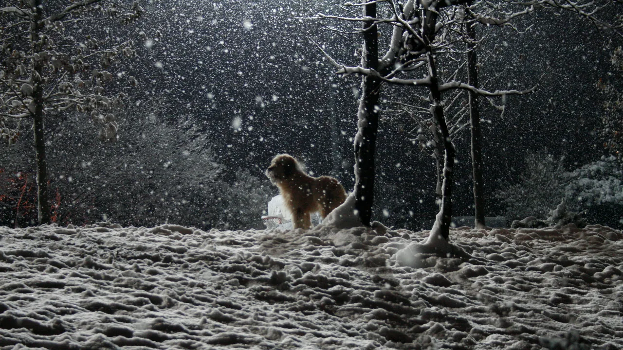 Atenționare de ploi și ninsori în România. Harta ANM cu vremea