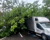 Încă un copac s-a prăbușit în București. A căzut peste patru mașini parcate și a rupt o țeavă de gaze