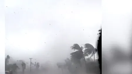 Moment terifiant în Australia. O familie a fost surprinsă de o tornadă. „Este real? Nu vreau să mor!”