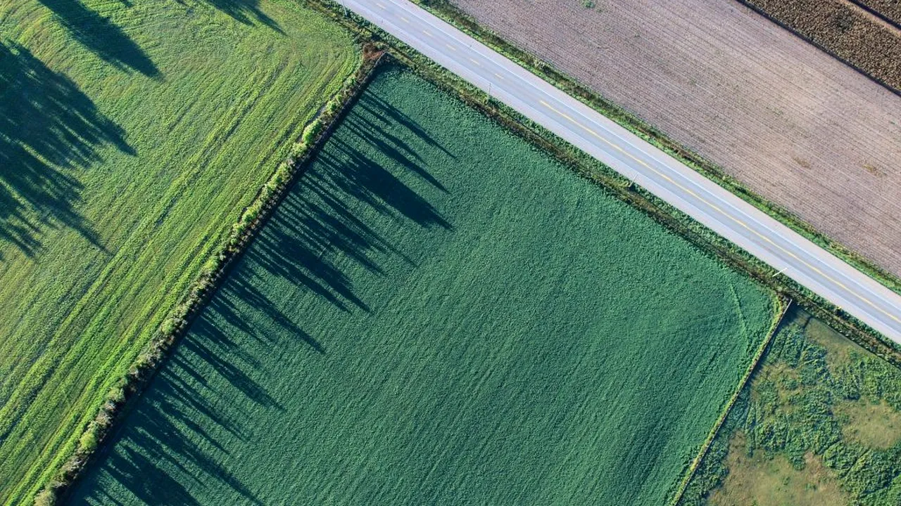 SOLUȚIE. Propunerea unor fermieri români ar rezolva problema comasării terenurilor agricole. Este vorba despre dreptul la proprietate și folosință