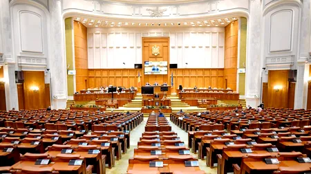 Propunere legislativă adoptată de Senat: Activitatea economică desfăşurată de PFA, recunoscută ca vechime în muncă