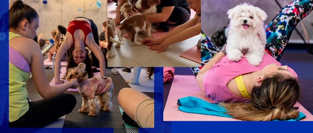 Ultima modă în materie de relaxare. Puppy yoga, TERAPIA care combină dragostea pentru animale cu yoga