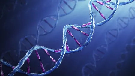 ROSALIND FRANKLIN, femeia care a descifrat ADN-ul. ROSALIND FRANKLIN, omagiată azi de Google, a ratat premiul Nobel