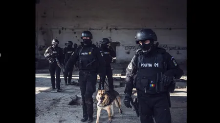 FOTO-VIDEO | Țigări de contrabandă din Ucraina și Republica Moldova, aduse în România în TIR-uri încărcate cu dulciuri și bomboane