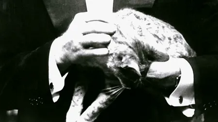 COLECȚIONARUL DE SECRETE. Pasiunea ilegală a unui monstru sacru al cinematografiei, descoperită la 8 ani de la moartea sa