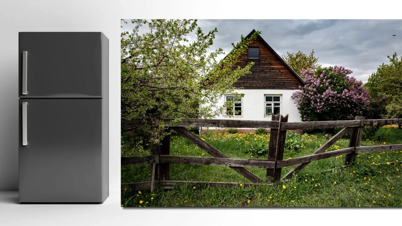 Ce surpriză a avut un cuplu, după MUTAREA în casă nouă. Ce au descoperit în frigiderul abandonat de vechiul proprietar