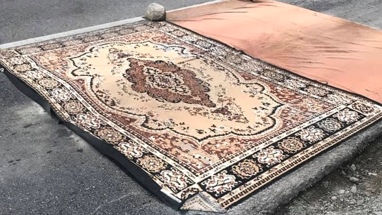 FOTO Pesta porcină, combătută cu... covorul persan. Primar: Ce nu este regulă? Este un material absorbant