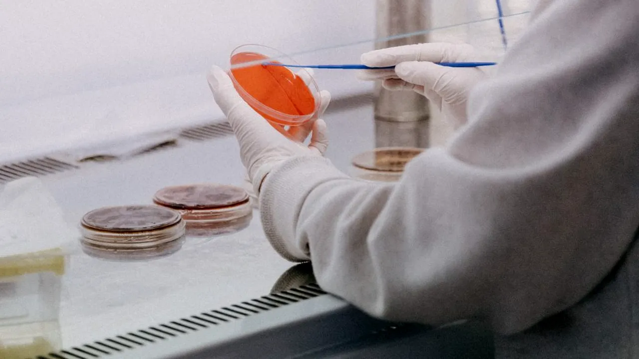 Grupul de Comunicare Strategică: 2415 de noi cazuri de infectare cu SARS-CoV-2 și 48 de decese, în ultimele 24 de ore. Peste 900 de persoane sunt internate la ATI