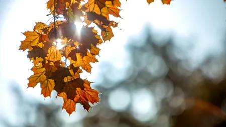 Vremea pe o lună. Prognoza meteo în intervalul 10.11.2025 - 08.12.2025: Temperaturi mai ridicate decât normalul perioadei