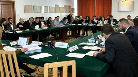 Votul din Comisia juridică a Senatului pe OUG pentru organizarea alegerilor, amânat. Motivul: prea multe amendamente