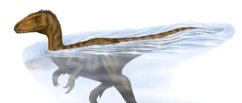 Urmele găsite pe albia unui râu din China vor schimba ceea ce știam despre dinozauri