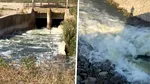 Panică printre agricultorii și piscicultorii din Călărași. Se tem că vor rămâne fără apă, după ce autoritățile ar fi decis să dea drumul la apa din lacurile Mostiștea și Valea Argovei, pentru a crește debitul Dunării