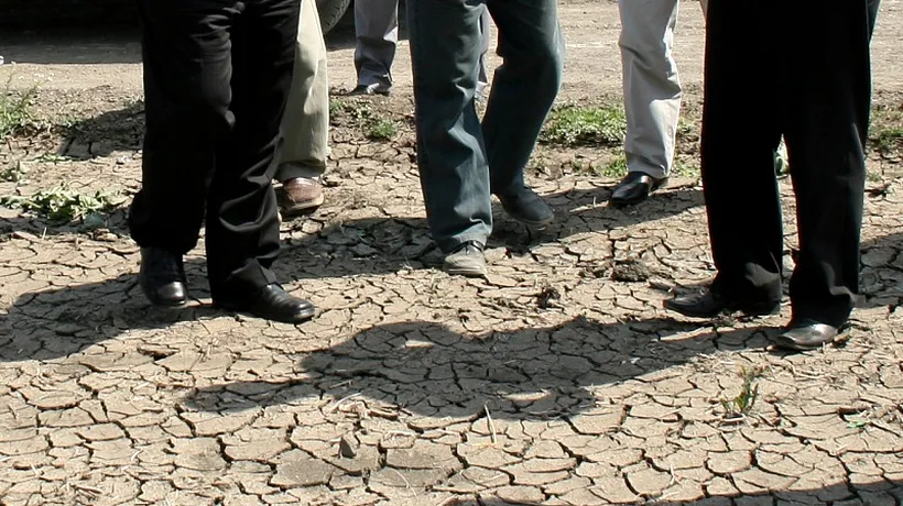 Anunțul premierului Ponta despre despăgubirile pentru terenurile afectate de secetă 