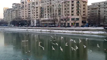 Cartierele bucureştene se deplasează cu zeci de milimetri anual