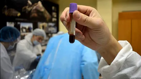 Cercetătorii din Siberia au extras sânge lichid din fosila unui mânz, care are o vechime de 42.000 de ani