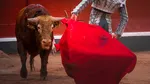 Cât câștigă un toreador în Spania pentru o coridă? Iată onorariile pe categorii în 2026