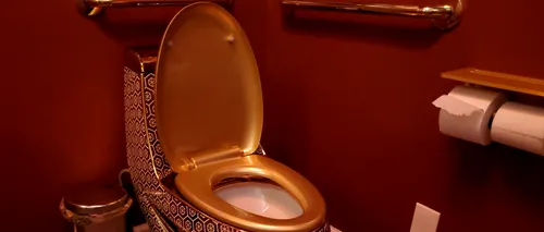 A furat un vas de toaletă din aur de 18 carate, în valoare de peste 6 milioane de dolari