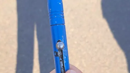 Spectator bulgar, prins cu o ARMĂ letală sub formă de pix la concertul Guns N' Roses de pe Arena Națională din București