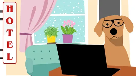 EARLY BOOKING. Trei din patru români renunță la un tip de rezervare a vacanțelor, până la finele anului. Last minute, noua tendință (consultant în turism)