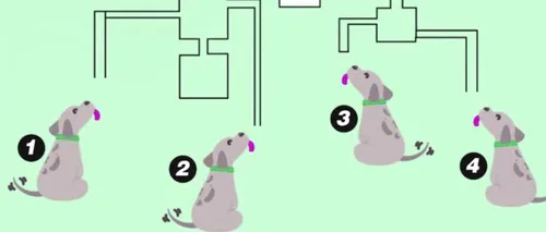 Test IQ: Care dintre cei patru câini poate bea laptele? Doar geniile pot da răspunsul în mai puțin de 20 de secunde!