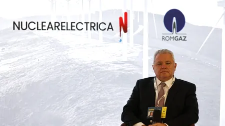 Niculae Havrileţ a fost trimis în judecată de DNA. Fostul preşedinte al ANRE a lucrat pentru societăți private înainte de expirarea interdicției